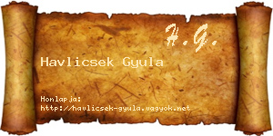 Havlicsek Gyula névjegykártya